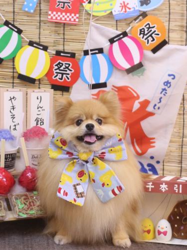 20240721梛都ちゃん